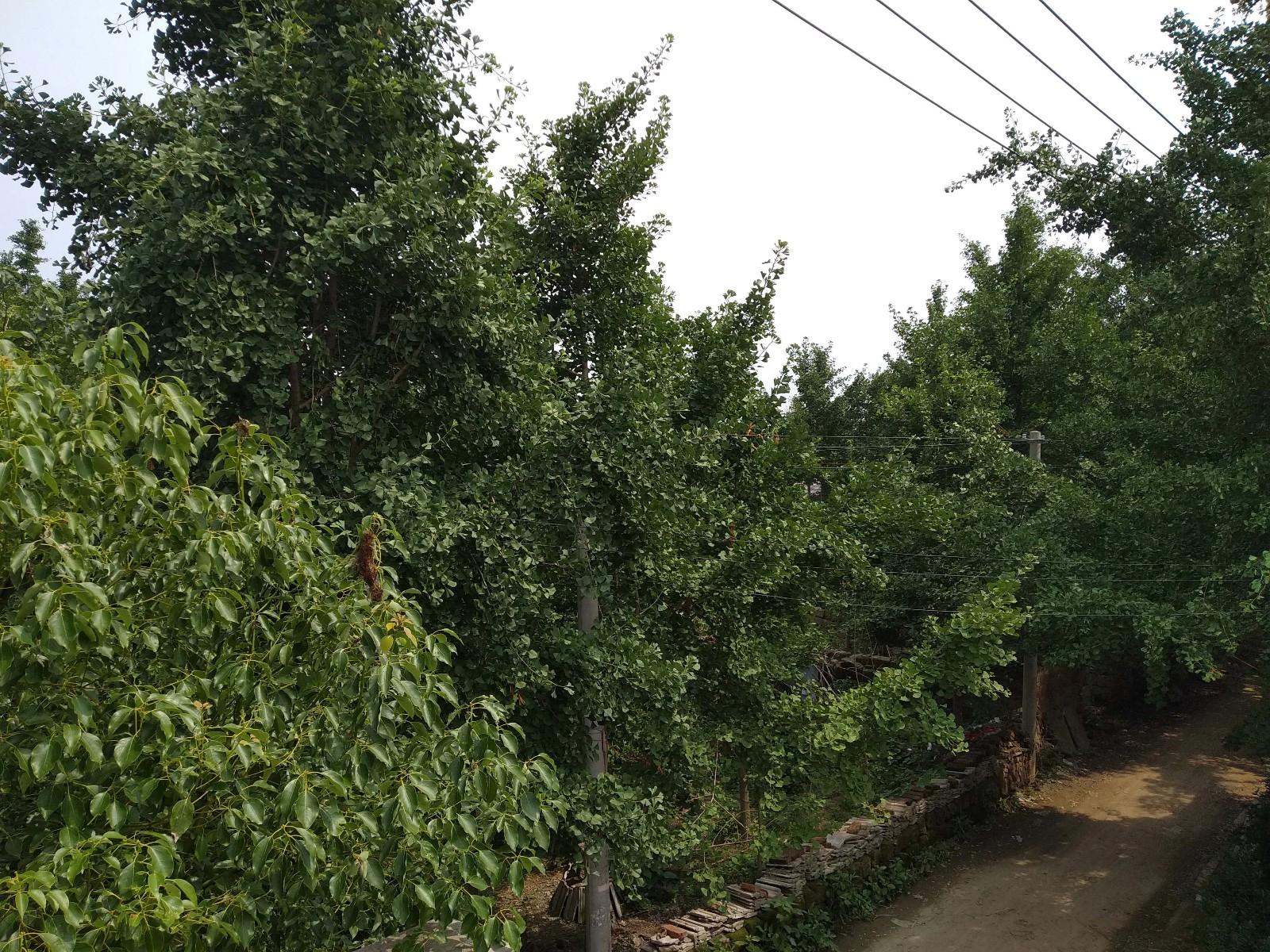 红米6pro值得买吗,红米6pro测评发布会