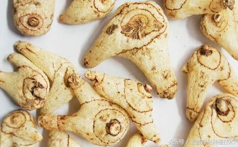 种植致富经一亩能赚多少钱,农业一亩收益30000种植什么