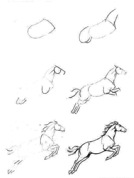 怎么把马画好,如何教你画真实的马