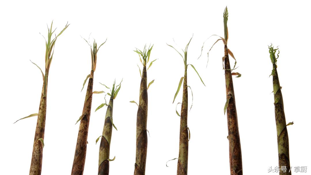 冬笋怎样炒好吃又营养,冬笋怎么吃最好