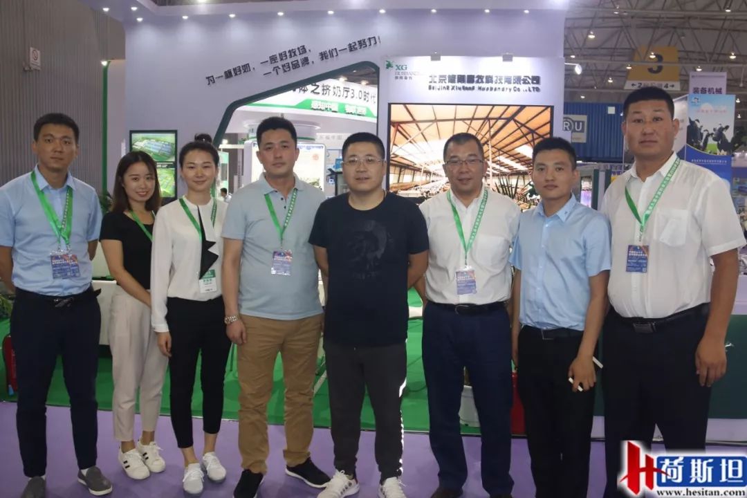 荷斯坦展览会,荷斯坦牛展