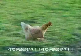 姆巴佩年轻19岁,姆巴佩从一岁到25岁