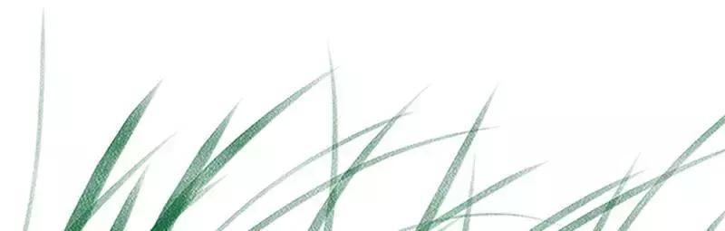 豫东水城摄影——老子故里鹿邑人文自然百科(五)