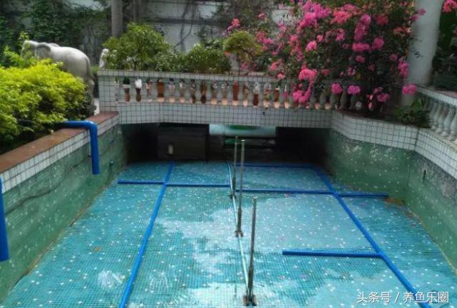 锦鲤池养鱼过滤系统,锦鲤池有了净化池还要增氧