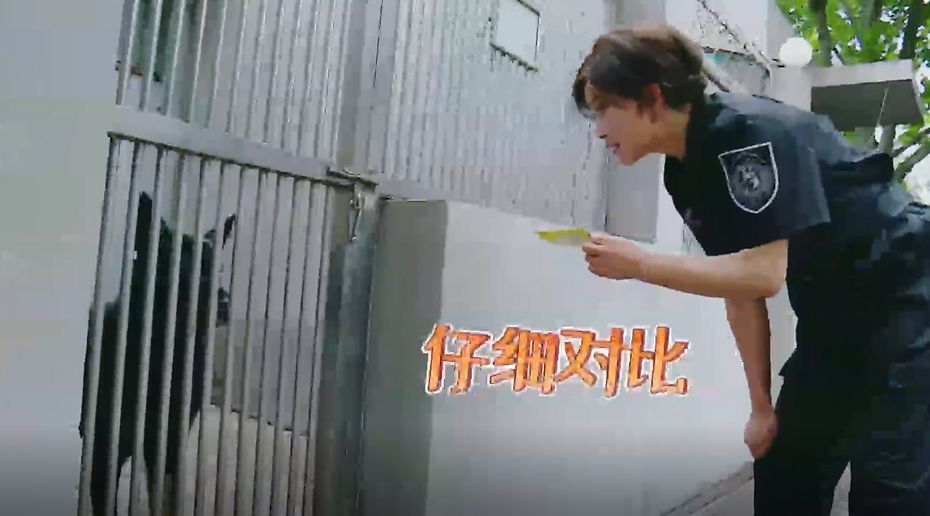 刘晓庆刘嘉玲颁奖,刘嘉玲刘晓庆同台