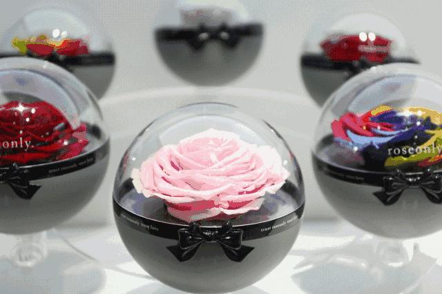 roseonly上海旗舰店地址,roseonly香港海港