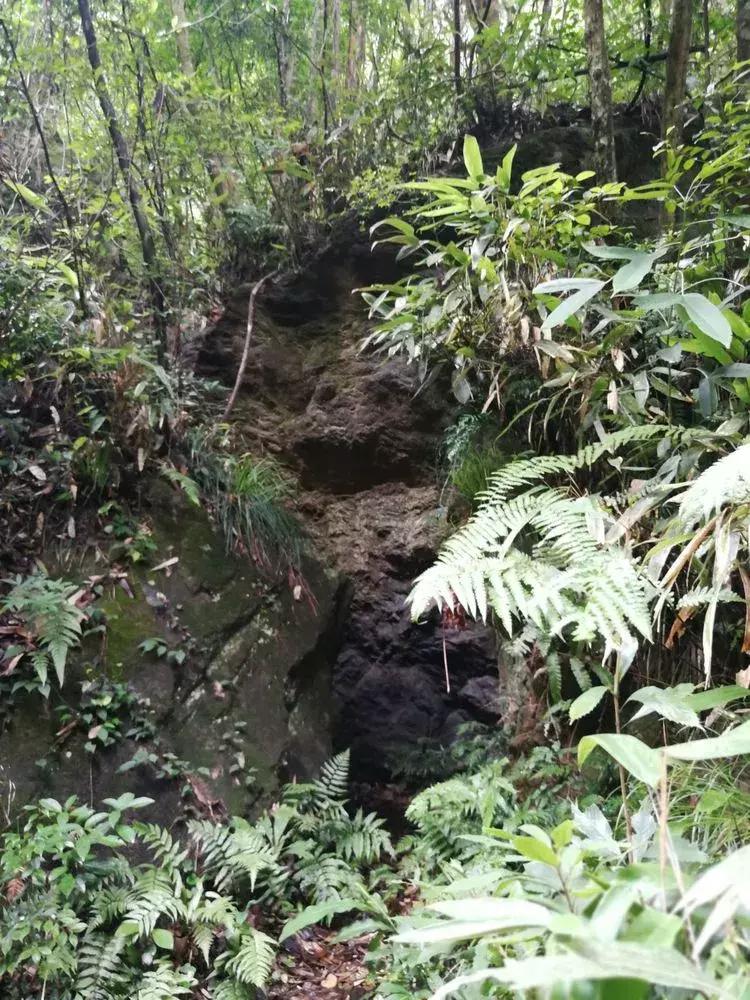 悠悠古道忆乡愁,悠悠古道