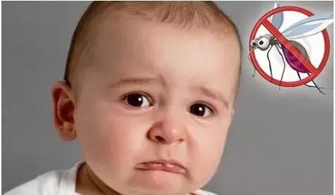 宝宝被蚊虫叮咬的疙瘩一直不消除,宝宝被蚊子叮咬的红包怎么消肿
