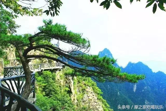 江浙沪适合露营海边,江浙沪最好的露营地