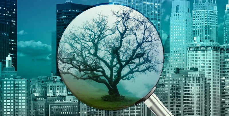 win10linux,linux文件系统详解