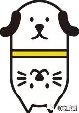 美丽优雅的仙女猫布偶猫,布偶猫仙女布偶