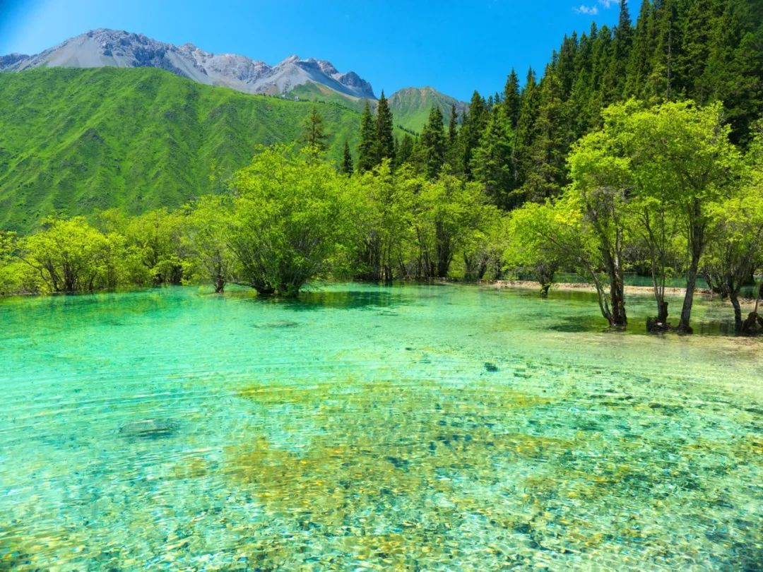 避暑黄龙洞,清凉避暑游