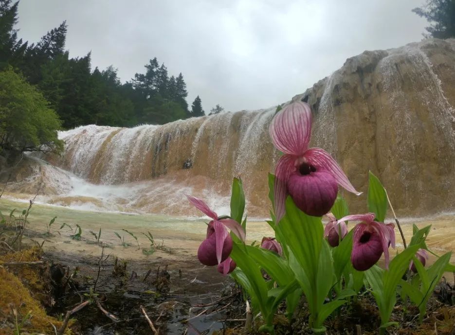 避暑黄龙洞,清凉避暑游
