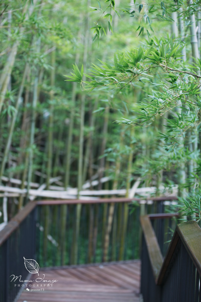 莫干山郡安里君澜度假酒店怎么样,莫干山郡安里君澜度假