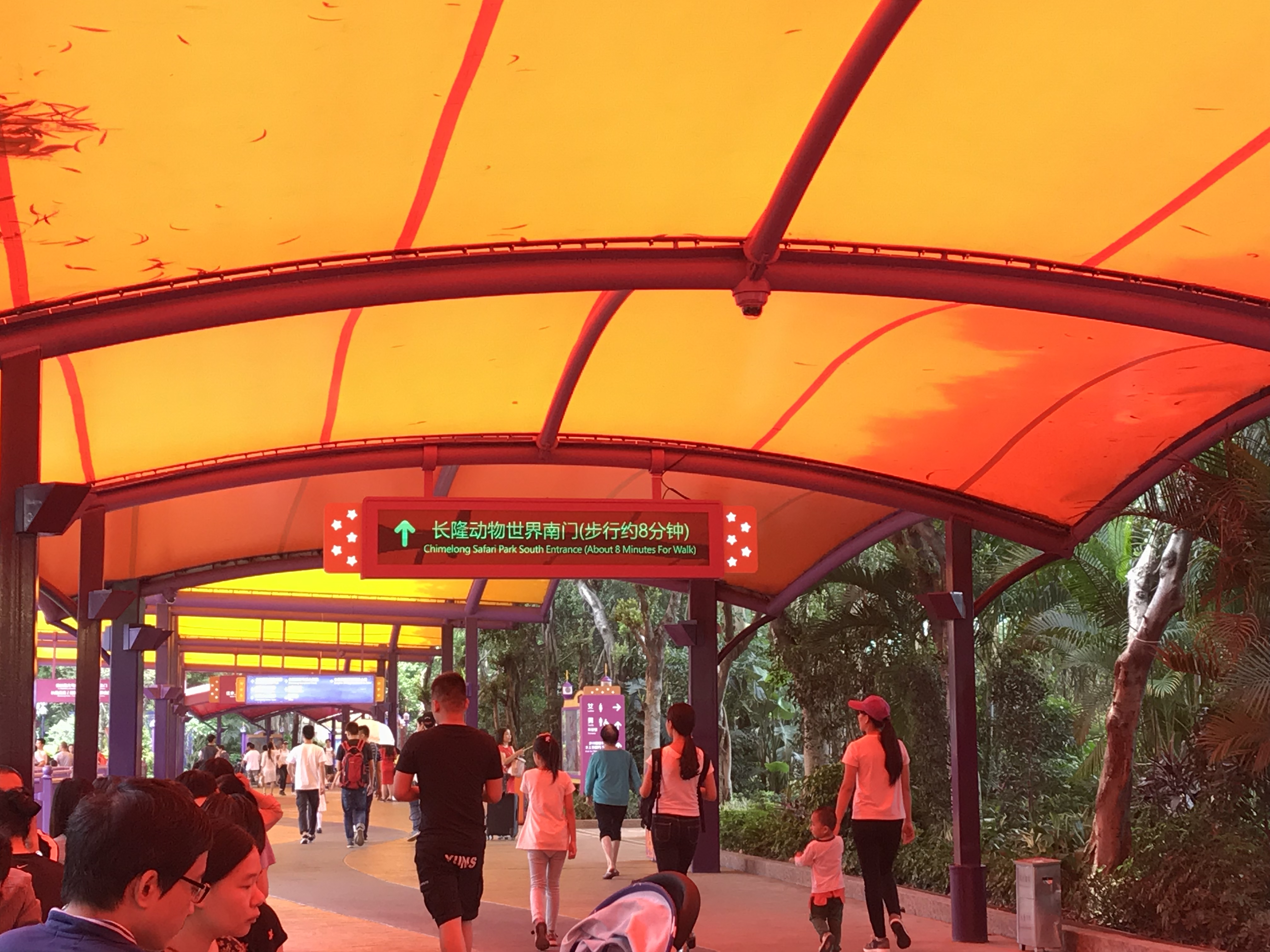 广州长隆野生动物世界之行,广州长隆野生动物世界游玩攻略图