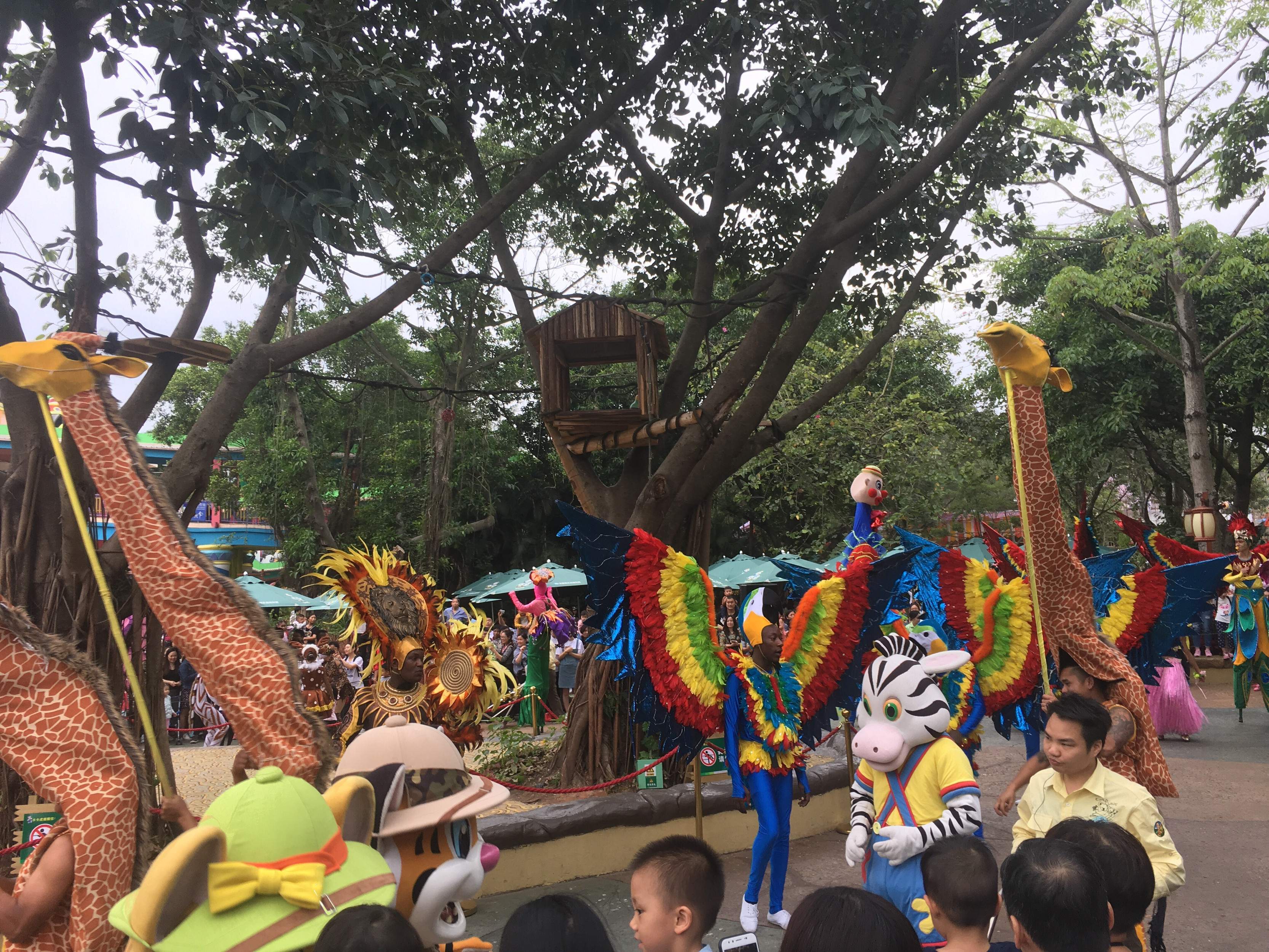 广州长隆野生动物世界旅游攻略,广州长隆野生动物王国攻略