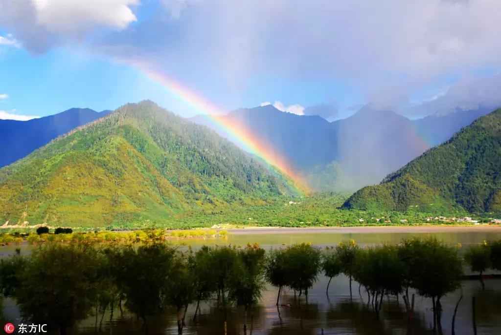 每日一字图,每日一字型