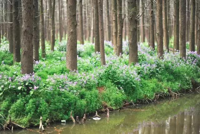 这竟然是农村！中国最美乡村Top10，有你家乡吗？