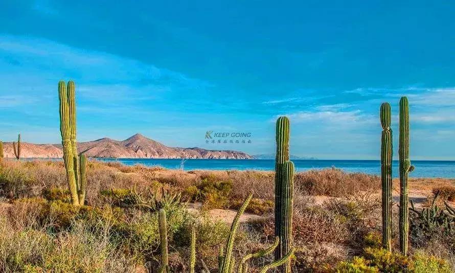 环游世界摩旅摩托车推荐,摩托车最好的摩旅路线