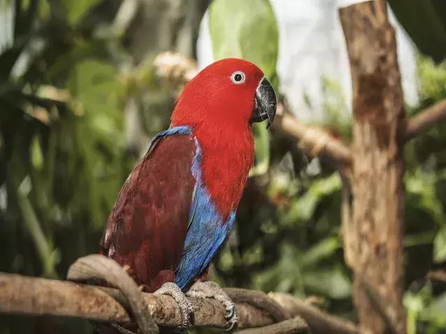 迪拜旅游攻略最低价,迪拜旅游攻略省钱