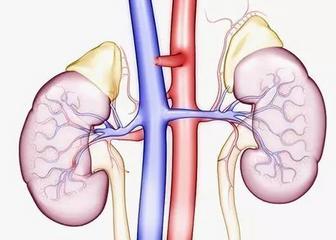 更年期尿路感染反复发作,治尿路感染反复发作名方