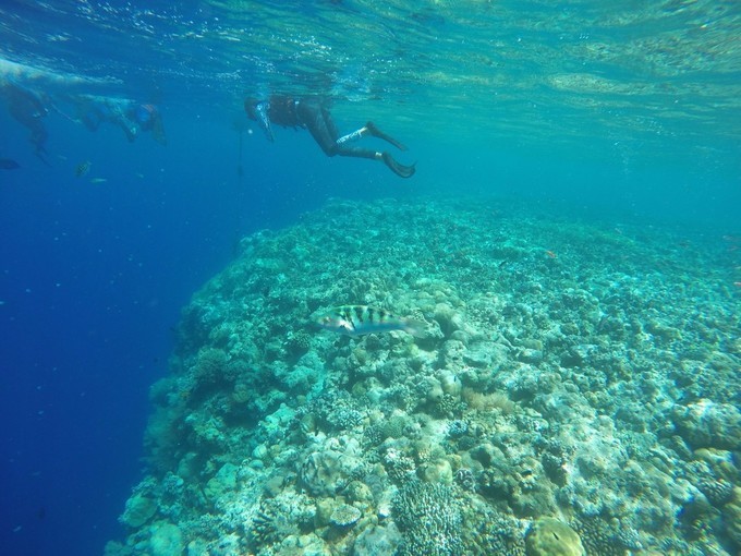 一个人的浪漫旅行视频,一个人的浪漫旅行自由自在