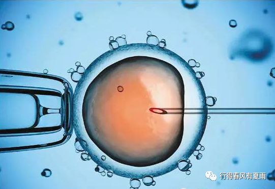 冷冻卵子过程痛苦吗,冷冻卵子唯一的后悔药