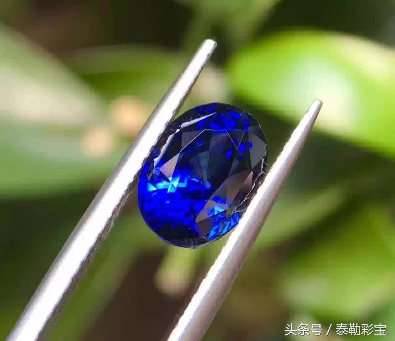 泰勒彩宝坦桑石,泰勒蓝宝石收藏价值