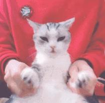 武汉体育场馆收费,武汉免费球票