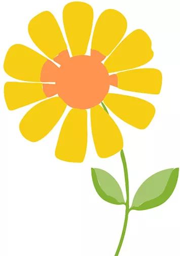 护校安园工作开展情况及工作成效,我区召开护校安园专项行动推进会