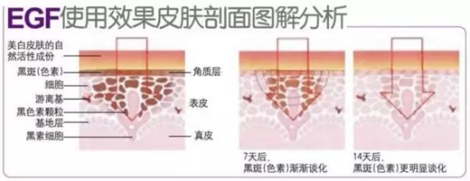 这只山羊居然把“黑球”变“白球”了!