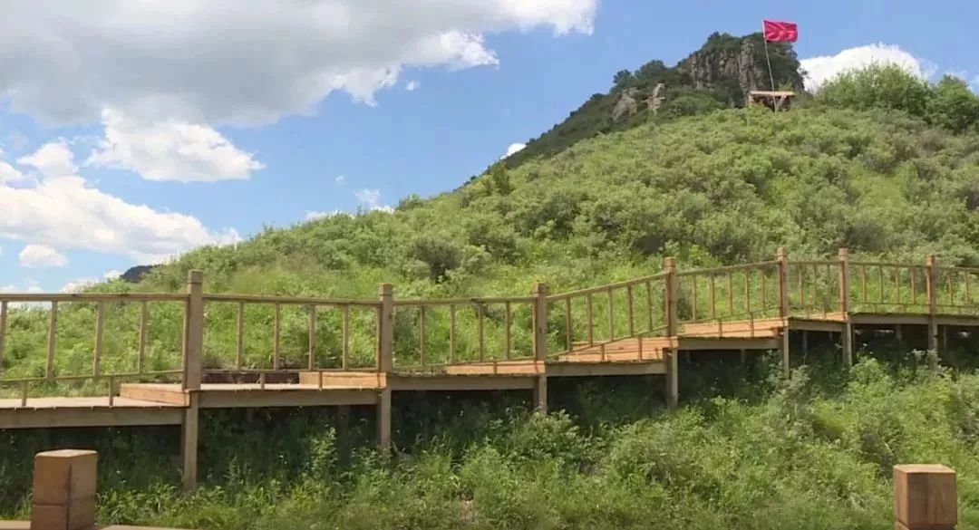 云顶草原花海,驼梁云顶草原风景