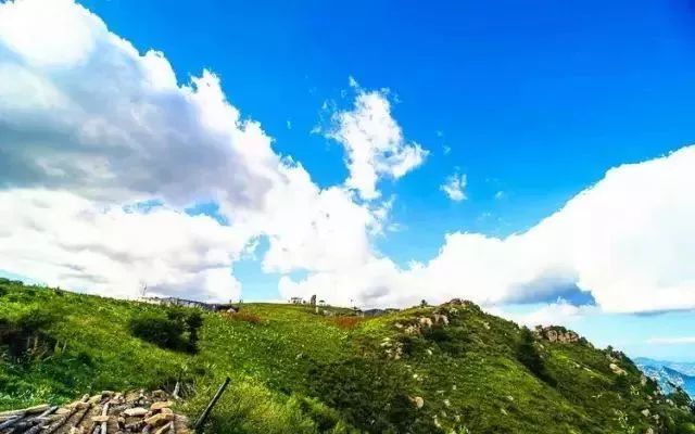 云顶草原花海,驼梁云顶草原风景