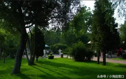 营口景点第一名,营口最美打卡地