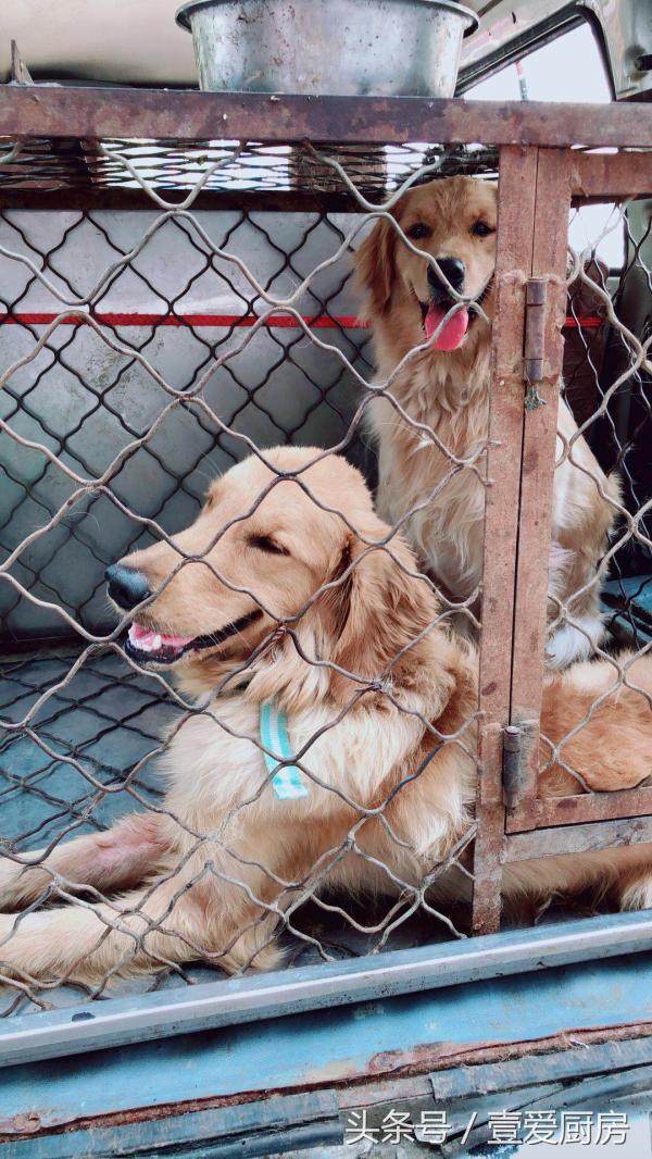 食药监局严查非法经营,食药局查封规定