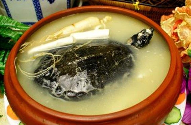 女人吃哪些食物对妇科有好处,吃什么食物可以缓解妇科疾病