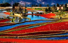 元阳哈尼梯田的历史,元阳梯田是红河哈尼梯田的核心区