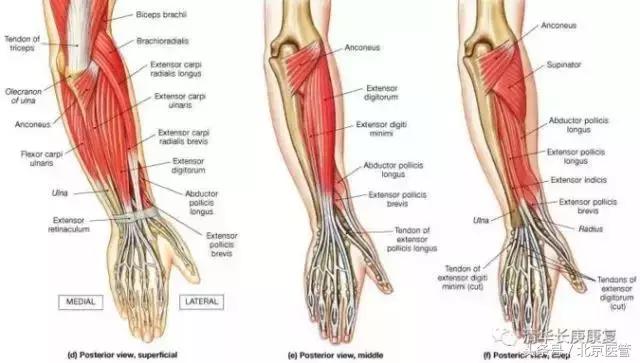 世界杯运动员受伤怎么处理,世界杯球员受伤对方球员赔偿吗