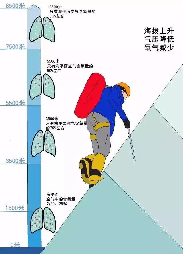 高反怎么化解,高反怎么办教你一招解决