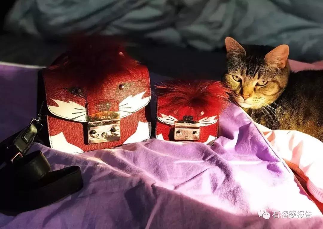 几十块钱夹的战利品,一百多元的战利品