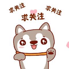 高圆圆时装搭配图片,u先生高圆圆穿衣搭配