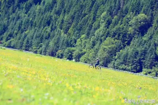从成都出发最近的草原,成都出发4小时雪山花海
