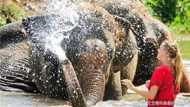泰国清莱，此生不留遗憾的蜜月之“甜”！