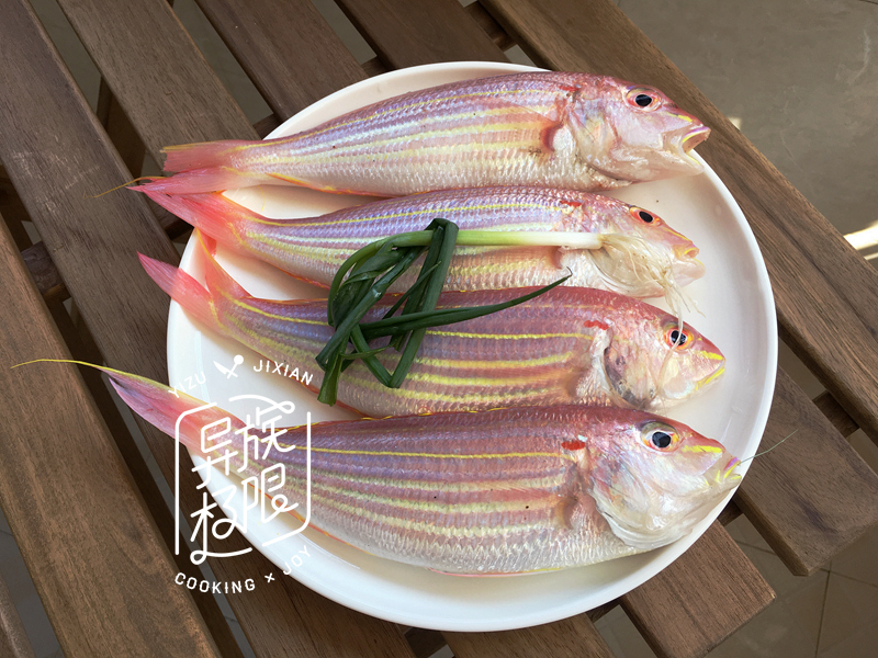 海钓料理鱼料,海钓用什么肉类最好吃