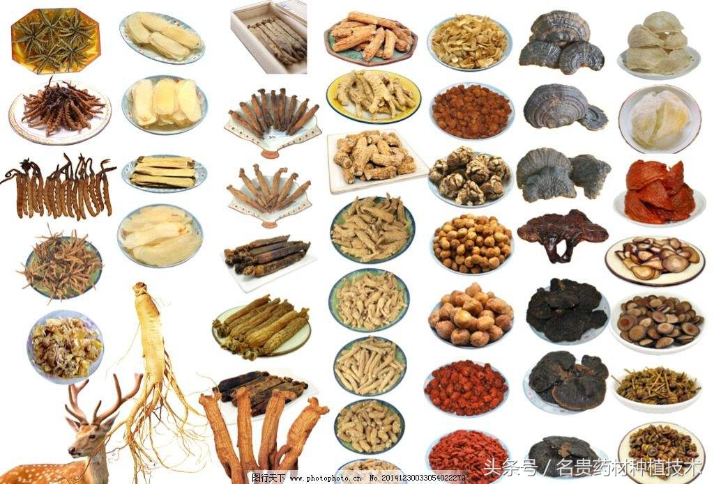 中药材的利润一般是多少,中药的利润怎么这么大