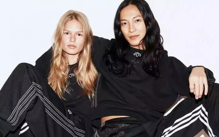 关于三叶草的知识,三叶草经典贝壳头不跟脚怎么办