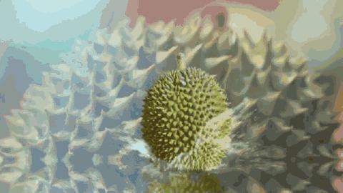 最好吃的进口曲奇,一看就会爆的爆款曲奇