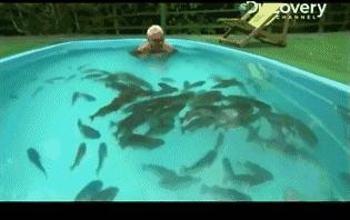 小到钻丁丁，大到吞活人，这片贝爷看了都瑟瑟发抖！