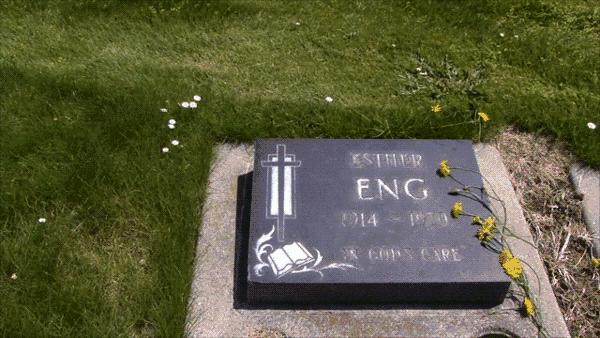 她一生只拍了一部电视剧,她一生只拍过一部电影