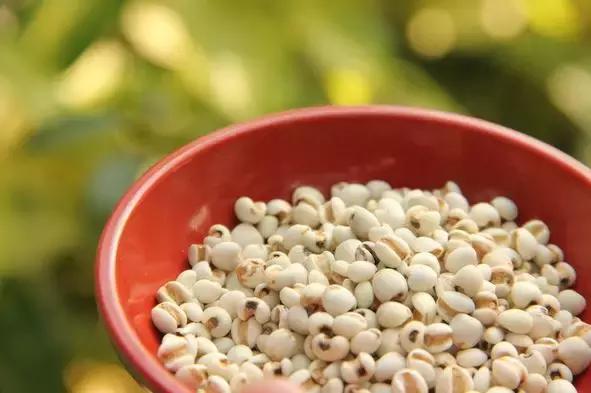 红豆薏米祛湿正确做法专业人士,红豆薏米都是祛湿效果较好的食物
